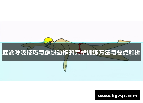 蛙泳呼吸技巧与蹬腿动作的完整训练方法与要点解析